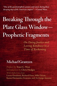 Breaking Through the Plate Glass Window-Prophetic Fragments (eBook, ePUB)