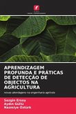 APRENDIZAGEM PROFUNDA E PRÁTICAS DE DETECÇÃO DE OBJECTOS NA AGRICULTURA