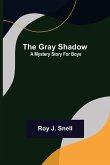 The Gray Shadow; A Mystery Story For Boys