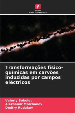 Transformações físico-químicas em carvões induzidas por campos eléctricos - Sobolev, Valeriy;Molchanov, Aleksandr;Rudakov, Dmitry