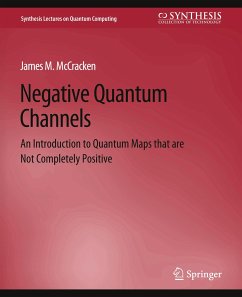 Negative Quantum Channels - McCracken, James M.