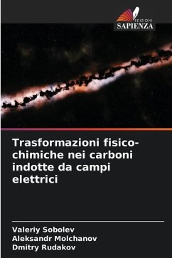 Trasformazioni fisico-chimiche nei carboni indotte da campi elettrici - Sobolev, Valeriy;Molchanov, Aleksandr;Rudakov, Dmitry