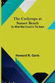 The Curlytops at Sunset Beach; Or, What Was Found in the Sand