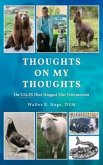 Thoughts On My Thoughts (eBook, ePUB)