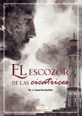 El escozor de las cicatrices (eBook, ePUB)