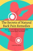 The Secrets of Natural Back Pain Remedies! Discover 100% Safe and Easy Remedies for Instant Back Pain Relief! (eBook, ePUB)