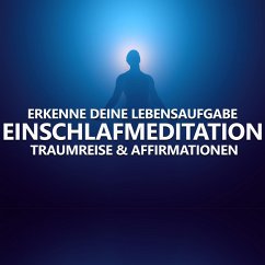 Cover Erkenne deine Lebensaufgabe (MP3-Download)