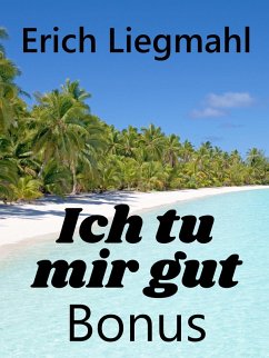 Ich tu mir gut Bonus (eBook, ePUB) - Liegmahl, Erich