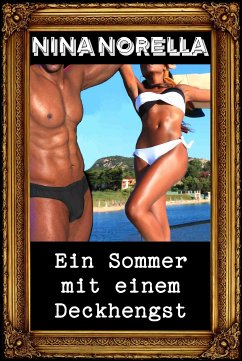 Ein Sommer mit einem Deckhengst (eBook, ePUB)