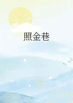 ¿¿¿ (eBook, ePUB) - Lv, Kangqi