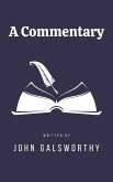 A Commentary (eBook, ePUB)