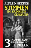 Stimmen im dunklen Gemäuer: Sammelband 3 geheimnisvolle Thriller (eBook, ePUB) Stimmen im dunklen Gemäuer: Sammelband 3 geheimnisvolle Thriller (eBook, ePUB)