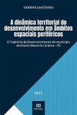A dinâmica territorial do desenvolvimento em âmbitos espaciais periféricos (eBook, ePUB)