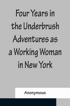 Four Years in the Underbrush Adventures as a Working Woman in New York - Anonymous