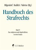 Handbuch des Strafrechts 08