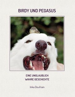 Birdy & Pegasus (eBook, ePUB)