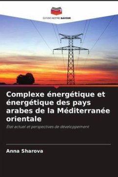 Complexe énergétique et énergétique des pays arabes de la Méditerranée orientale - Sharova, Anna