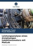 Leistungsanalyse eines dreiphasigen Induktionsmotors mit MatLab