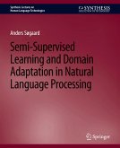 Semi-Supervised Learning and Domain Adaptation in Natural Language Processing