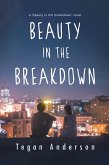 Beauty in the Breakdown (eBook, ePUB)