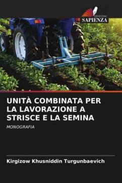 UNITÀ COMBINATA PER LA LAVORAZIONE A STRISCE E LA SEMINA - Khusniddin Turgunbaevich, Kirgizow