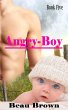 Angry Boy (Red Sky, Texas, #5) (eBook,... - Bild 1
