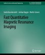 Fast Quantitative Magnetic Resonance... - Bild 1