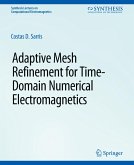 Adaptive Mesh Refinement in Time-Domain Numerical Electromagnetics