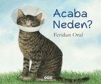 Acaba Neden - Oral, Feridun