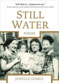 Still Water (eBook, ePUB)