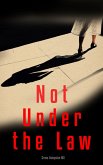 Not Under the Law (eBook, ePUB)