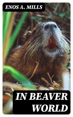 In Beaver World (eBook, ePUB) - Mills, Enos A.