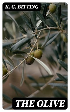 The Olive (eBook, ePUB) - Bitting, K. G.