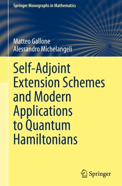 Self-Adjoint Extension Schemes and Modern Applications to Quantum Hamiltonians - Gallone, Matteo;Michelangeli, Alessandro