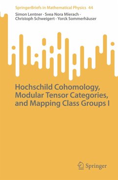 Hochschild Cohomology, Modular Tensor Categories, and Mapping Class Groups I - Lentner, Simon;Mierach, Svea Nora;Schweigert, Christoph