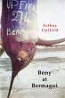 Bony at Bermagui (eBook, ePUB) - Bild 1