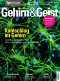 Gehirn&Geist 7/22 - Kahlschlag im Gehirn (eBook, PDF)
