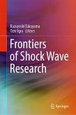 Frontiers of Shock Wave Research (eBook, PDF)