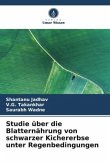 Studie über die Blatternährung von schwarzer Kichererbse unter Regenbedingungen