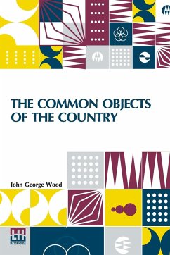 The Common Objects Of The Country - Wood, John George
