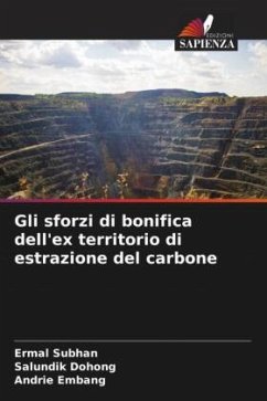 Gli sforzi di bonifica dell'ex territorio di estrazione del carbone - Subhan, Ermal;Dohong, Salundik;Embang, Andrie