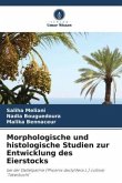 Morphologische und histologische Studien zur Entwicklung des Eierstocks