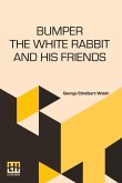 Bumper The White Rabbit And His Friends