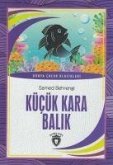 Kücük Kara Balik