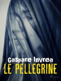 Le pellegrine (eBook, ePUB)