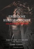 Erotische Kurzgeschichte Sex mit dem Entführer (eBook, ePUB)