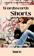 Burn (Wordsworth Shorts, #25) (eBook,... - Bild 1
