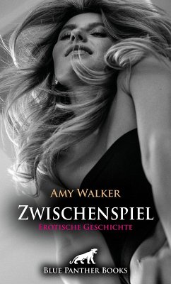 Cover Zwischenspiel   Erotische Geschichte (eBook, ePUB)