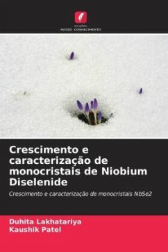 Crescimento e caracterização de monocristais de Niobium Diselenide - Lakhatariya, Duhita;Patel, Kaushik