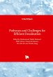 Pathways and Challenges for Efficient... - Bild 1